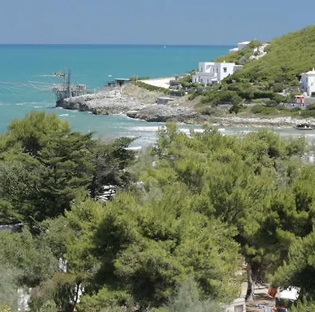Happy Camp Camping Village Internazionale Manacore