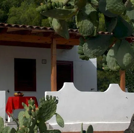 Happy Camp Camping Village Internazionale Manacore Hotel Peschici