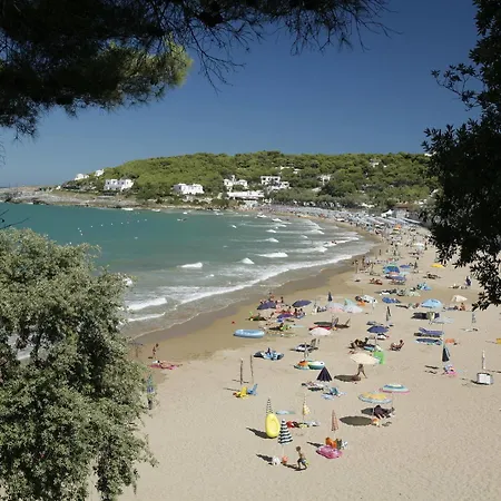 Hotel Happy Camp Camping Village Internazionale Manacore 4*